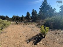 Reñaca, Los Pinos, sitio plano, 1600 M2, acceso a Luz y Agua